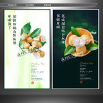 龙眼 水果海报