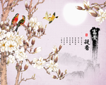 玉兰花