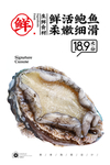 鲍鱼