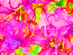 花卉油画