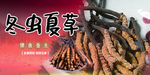 冬虫夏草