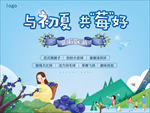 蓝莓采摘活动
