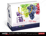 漂亮葡萄包装展开图