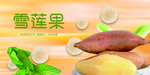 雪莲果海报