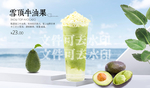 雪顶牛油果