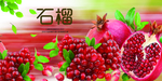 石榴海报