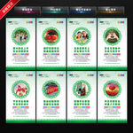 校园安全 安全校园