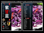 紫甘蓝菜单 紫甘蓝 紫甘蓝彩页
