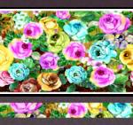 玫瑰花