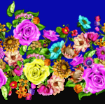 玫瑰花