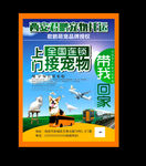 宠物托运