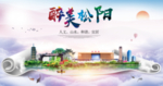 松阳醉大美卫生文明城市海报