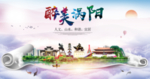 涡阳醉大美卫生文明城市海报