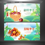 新鲜李子 李子水果