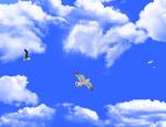 天空