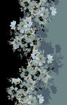 黑灰花