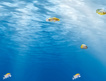 海底