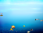 海底