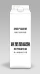 果汁纸盒包装设计样机