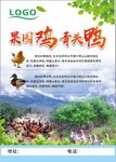 果园鸡鸭
