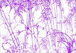 兰花竹林子 素描画