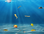 海洋生物