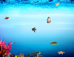 海洋世界