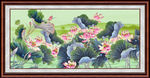 国画荷花