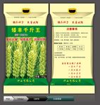 小麦种子(展开图)