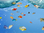 海洋世界