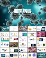 细菌病毒微生物细胞组织ppt
