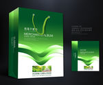 绿色手提袋 手提袋设计 手提袋