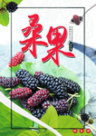 桑葚采摘 桑葚 桑葚上市 桑甚