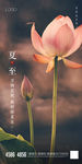 夏至