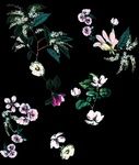 数码 印花