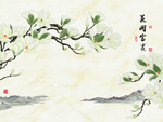 素雅玉兰花背景