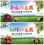 百香果