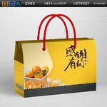 夏季芒果特产礼盒包装平面图