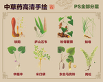 中草药手绘