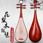 琵琶音乐民乐乐器独奏音乐会