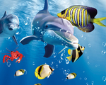 海底生物