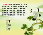 传统节日 重阳节