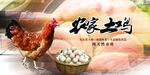 鸡蛋包