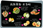 哈密瓜