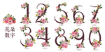 花朵阿拉伯数字