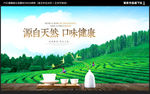 茶叶海报