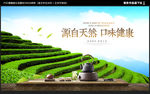 茶叶广告