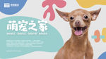 宠物之家海报