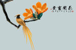 手绘花鸟图