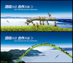 蚂蚁团队